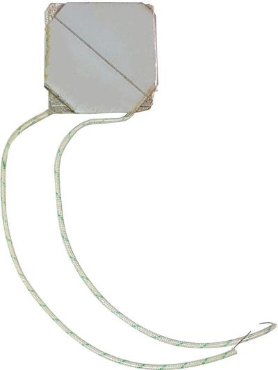 المنت اسپند دودکن کد 001