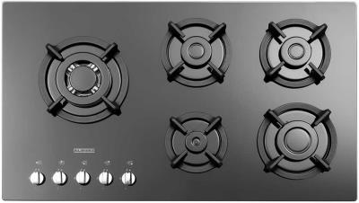 اجاق گاز صفحه ای استیل البرز مدل G 5957I