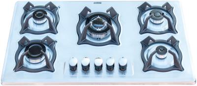 اجاق گاز صفحه ای آراز مدل PAE 5