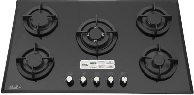 گاز صفحه ای ناب استیل مدل NAB G9535