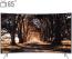 تلویزیون ال ای دی هوشمند خمیده سامسونگ مدل 65NU8950 سایز 65 اینچ